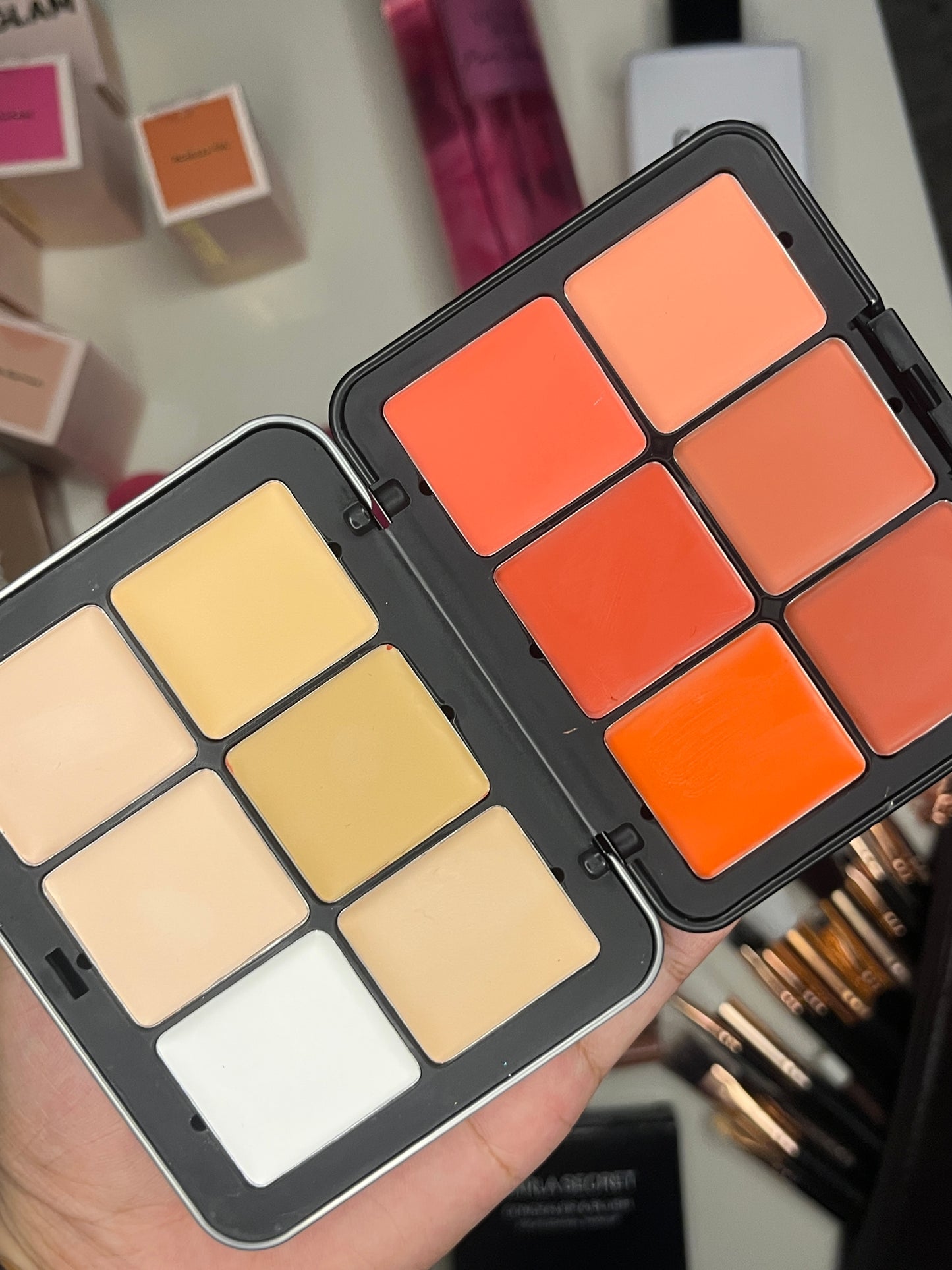Carla secret 12 shades palette