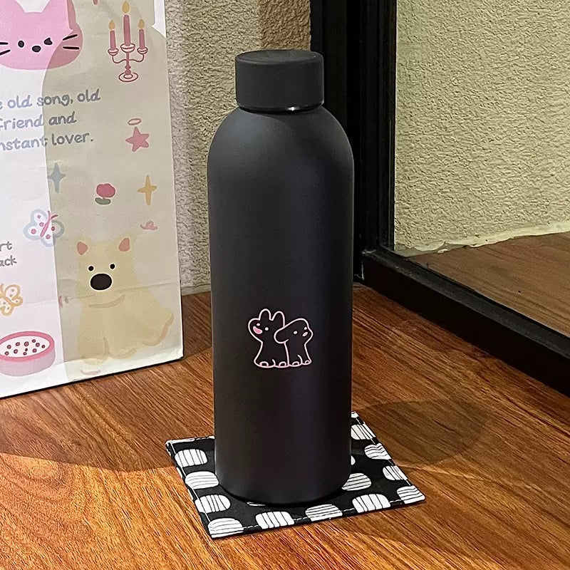 Stainless Steel Thermos bottle